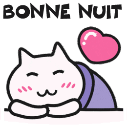 bonne nuit chat